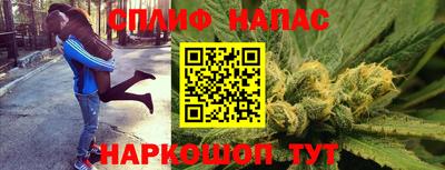 индика Северобайкальск