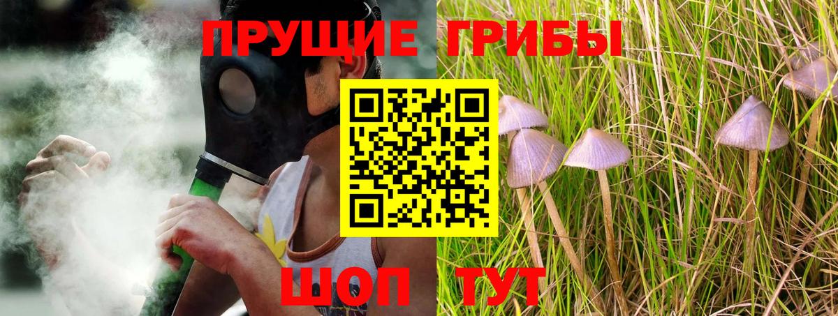 Галлюциногенные грибы Cubensis  Вход с VPN  Нягань 